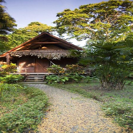 Azania Bungalows Puerto Viejo de Talamanca Buitenkant foto