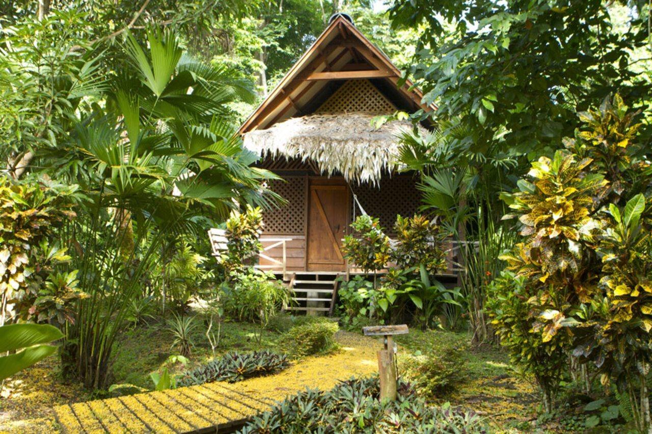 Azania Bungalows Puerto Viejo de Talamanca Buitenkant foto