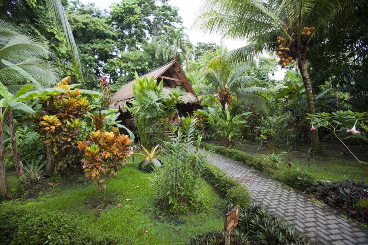 Azania Bungalows Puerto Viejo de Talamanca Buitenkant foto