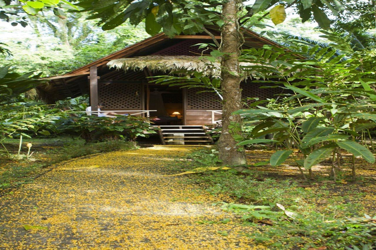 Azania Bungalows Puerto Viejo de Talamanca Buitenkant foto